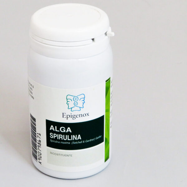 Alga Spirulina